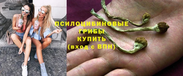 а пвп мука Армянск