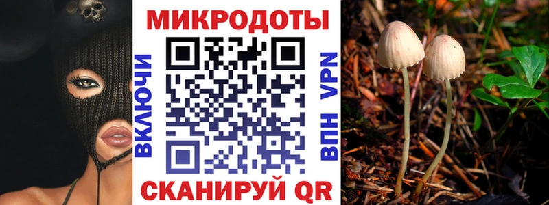 Галлюциногенные грибы Magic Shrooms  Купить где  Сусуман 